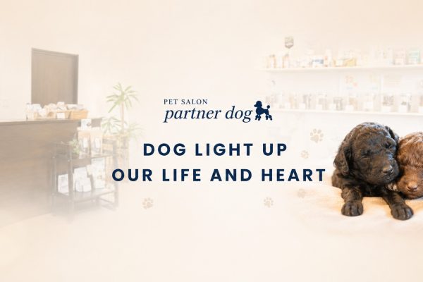 ワンちゃんの心の代弁者でありたい――PETSALON partnerdogが大切にする“信頼関係から始まるトリミング”