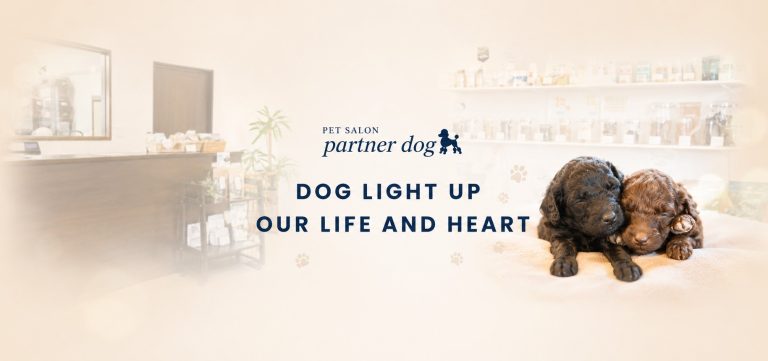 ワンちゃんの心の代弁者でありたい――PETSALON partnerdogが大切にする“信頼関係から始まるトリミング”