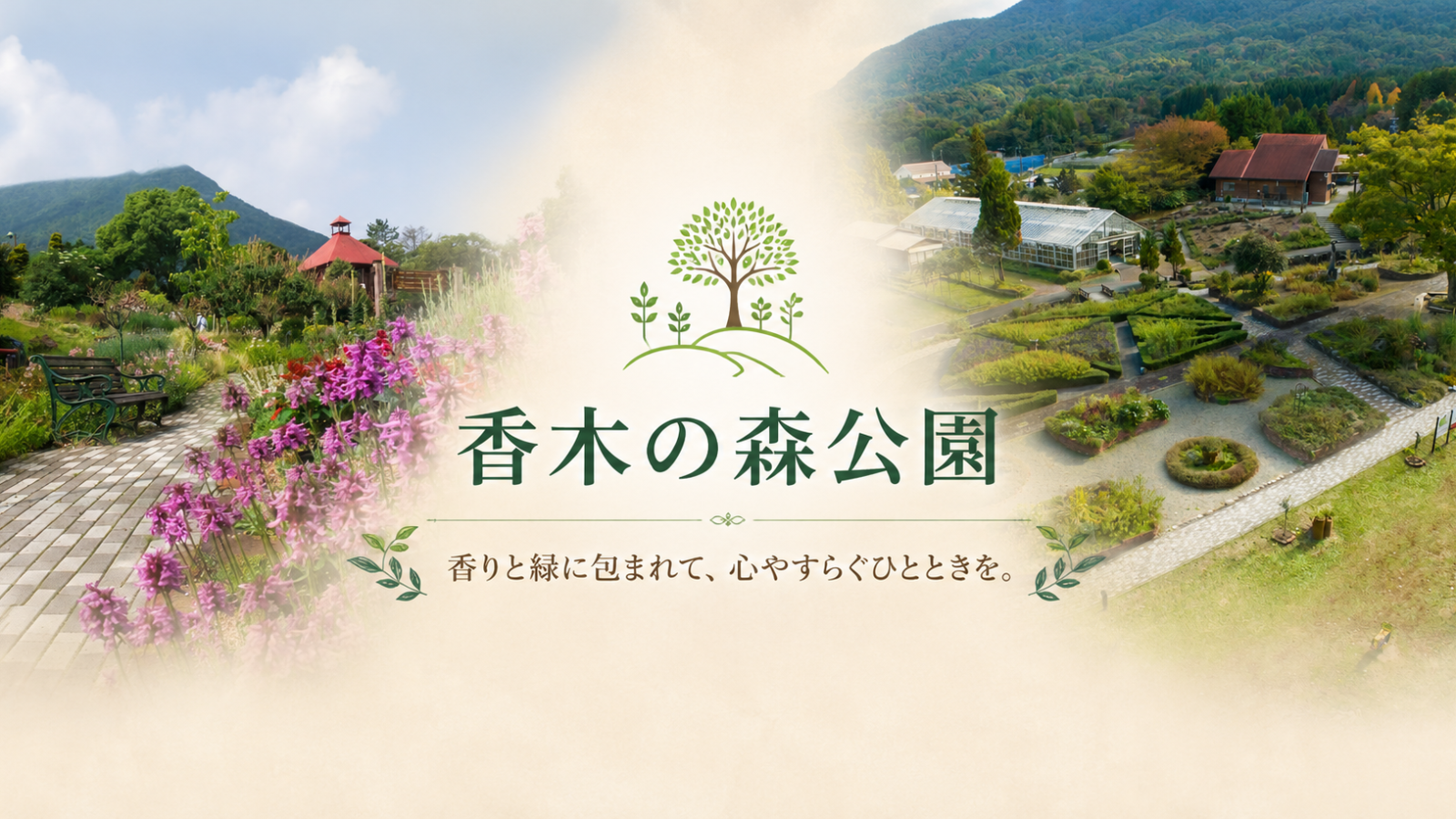 四季折々の花と自然に癒やされる。香木の森公園で過ごす心豊かなひととき