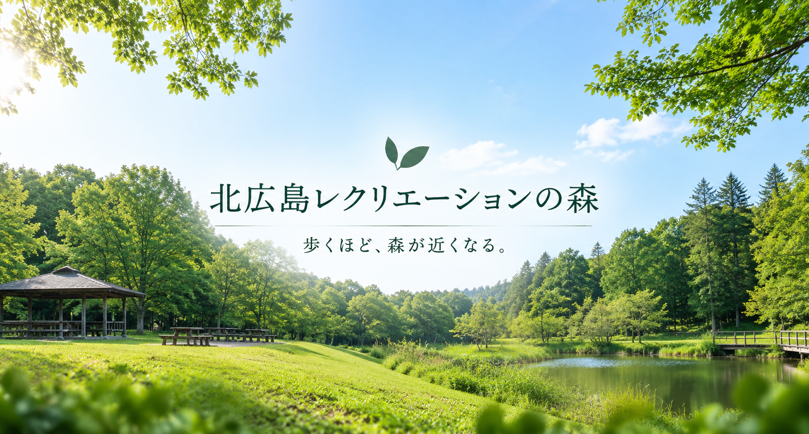 森の中を歩き、立ち止まり、自然を感じる。北広島レクリエーションの森で過ごす一日