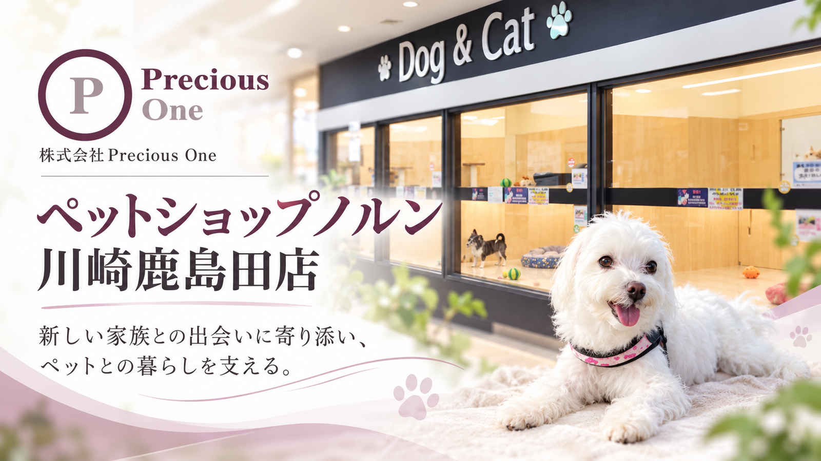 新しい家族との出会いから、迎えた後の暮らしまで。川崎市「ペットショップノルン」が大切にするペットとのつながり