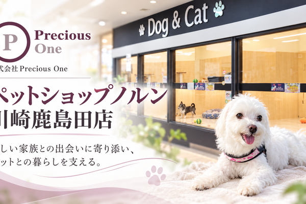 新しい家族との出会いから、迎えた後の暮らしまで。川崎市「ペットショップノルン」が大切にするペットとのつながり