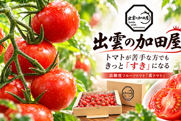 一粒に凝縮した甘みと、育てる人の想い。出雲の加田屋が届ける高糖度フルーツトマト「希トマト」